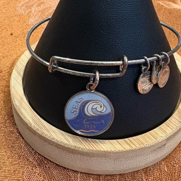 Alex and Ani "Seas the Day" Charm Expandable Bracelet - Picture 4 of 4